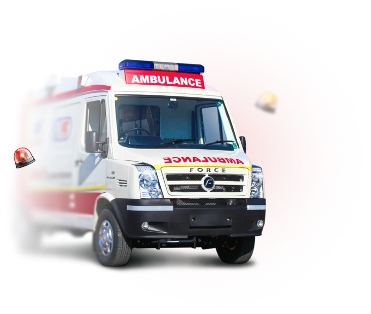 azarnejatservice